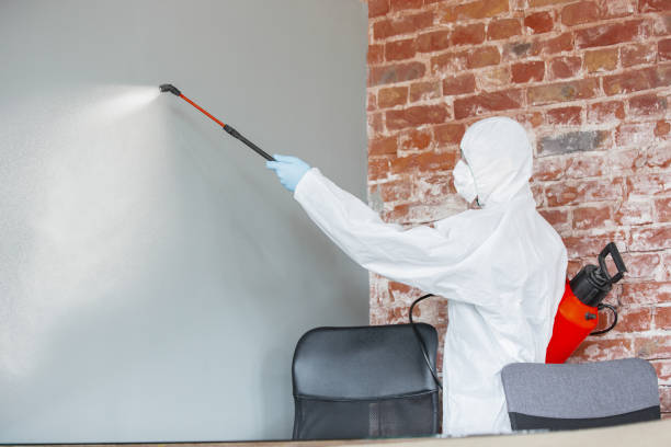 Best Mold Remediation for Vacation Homes  in Holden Heights, FL