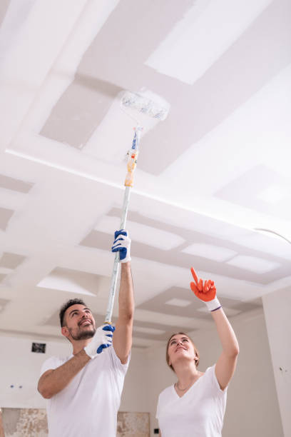 Best Biohazard Mold Removal  in Holden Heights, FL