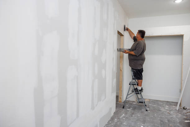 Mold Removal for HVAC Installations in Holden Heights, FL