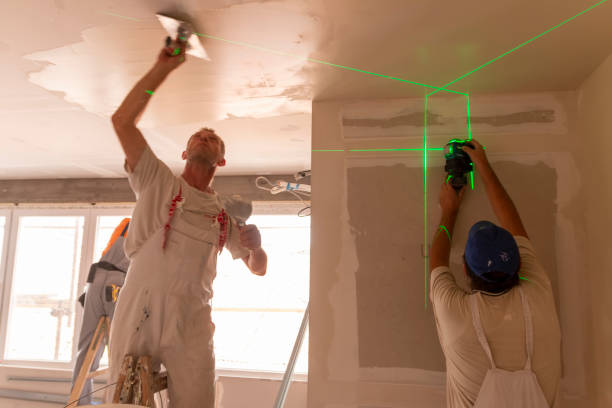 Best Mold Odor Removal Services  in Holden Heights, FL